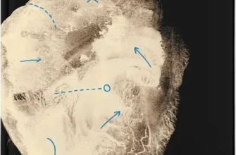 «Книга Еміля» Ілларіон Павлюк